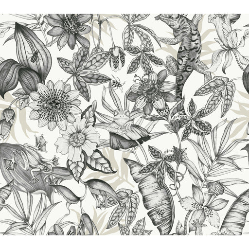 KRAVET DESIGN - W4131 - Wallpaper By the Roll