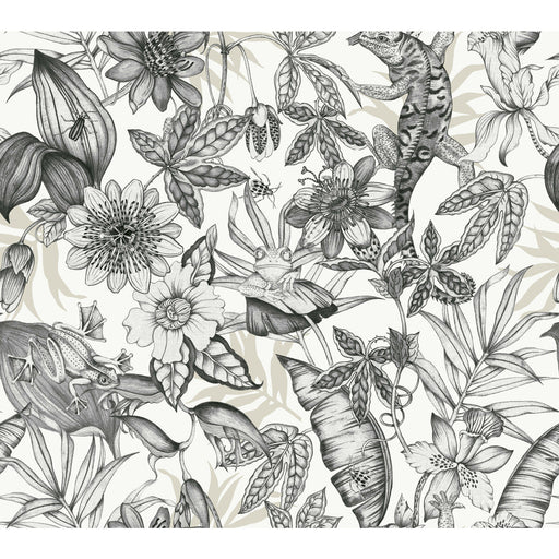 KRAVET DESIGN - KRAVET DESIGN- W4131-8 - Wallcovering by the Roll W4131-8