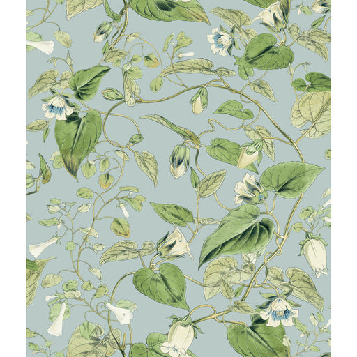 KRAVET DESIGN - KRAVET DESIGN- W4132-153 - Wallcovering by the Roll W4132-153