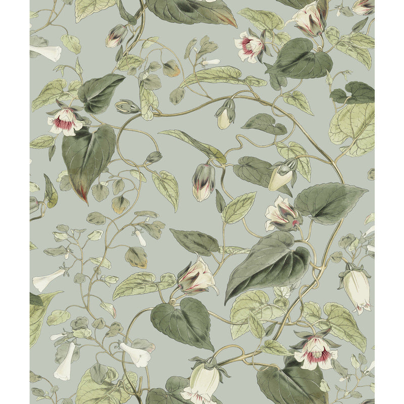 KRAVET DESIGN - KRAVET DESIGN- W4132-311 - Wallcovering by the Roll W4132-311