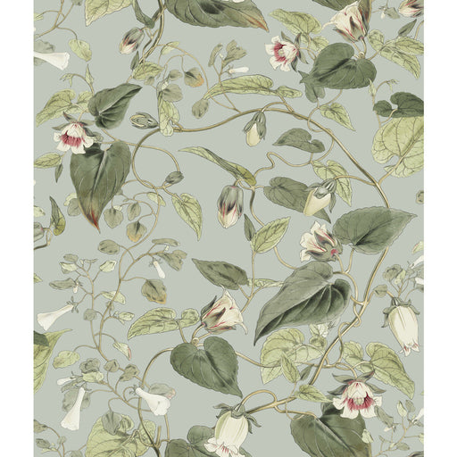 KRAVET DESIGN - KRAVET DESIGN- W4132-311 - Wallcovering by the Roll W4132-311
