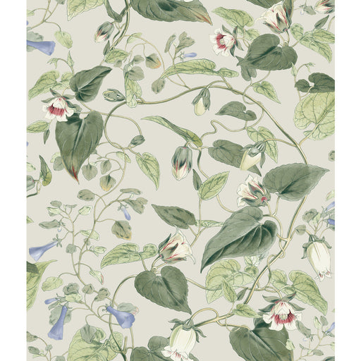 KRAVET DESIGN - KRAVET DESIGN- W4132-315 - Wallcovering by the Roll W4132-315