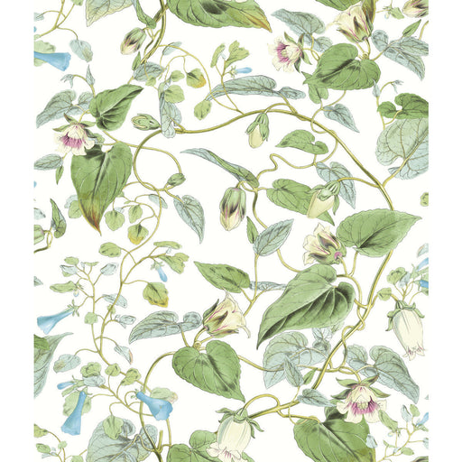 KRAVET DESIGN - KRAVET DESIGN- W4132-31 - Wallcovering by the Roll W4132-31
