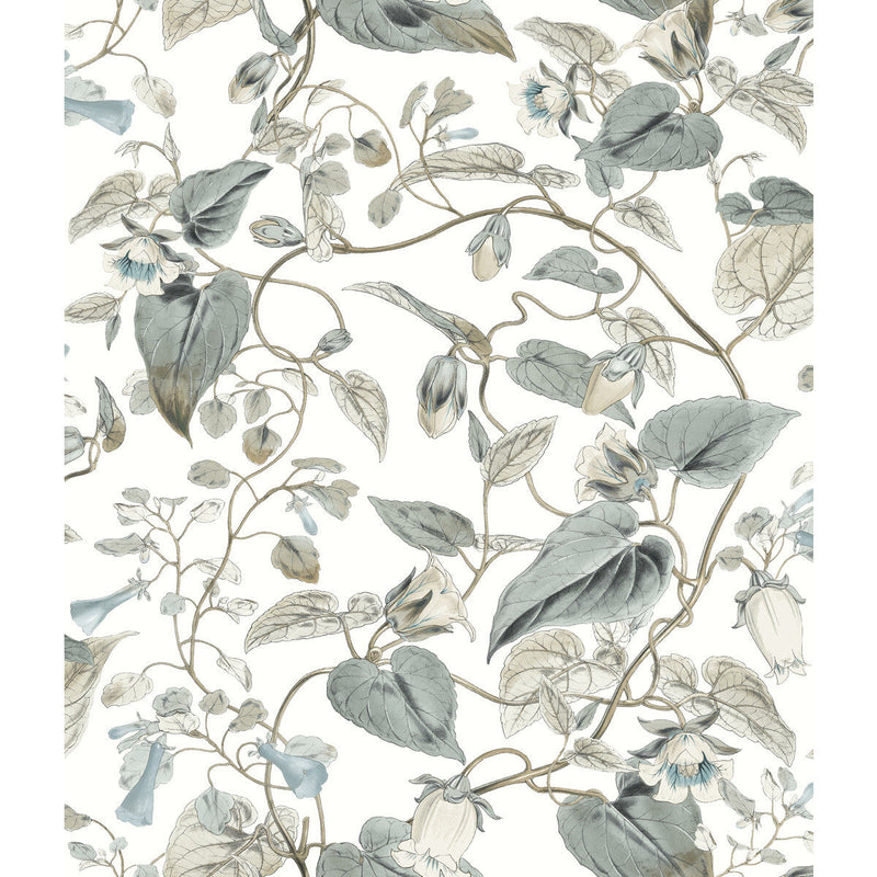 KRAVET DESIGN - KRAVET DESIGN- W4132-511 - Wallcovering by the Roll W4132-511