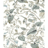 KRAVET DESIGN - KRAVET DESIGN- W4132-511 - Wallcovering by the Roll