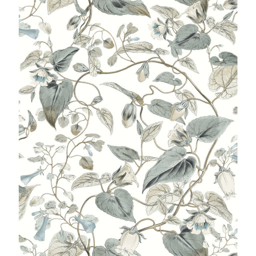 KRAVET DESIGN - KRAVET DESIGN- W4132-511 - Wallcovering by the Roll W4132-511