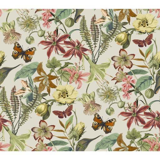 KRAVET DESIGN - KRAVET DESIGN- W4133-712 - Wallcovering by the Roll W4133-712