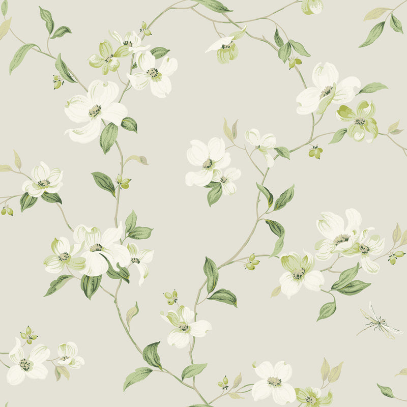 KRAVET DESIGN - KRAVET DESIGN- W4137-106 - Wallcovering by the Roll W4137-106
