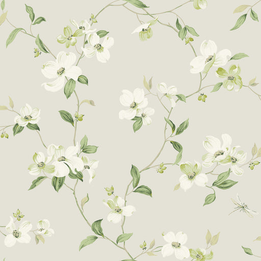 KRAVET DESIGN - KRAVET DESIGN- W4137-106 - Wallcovering by the Roll W4137-106