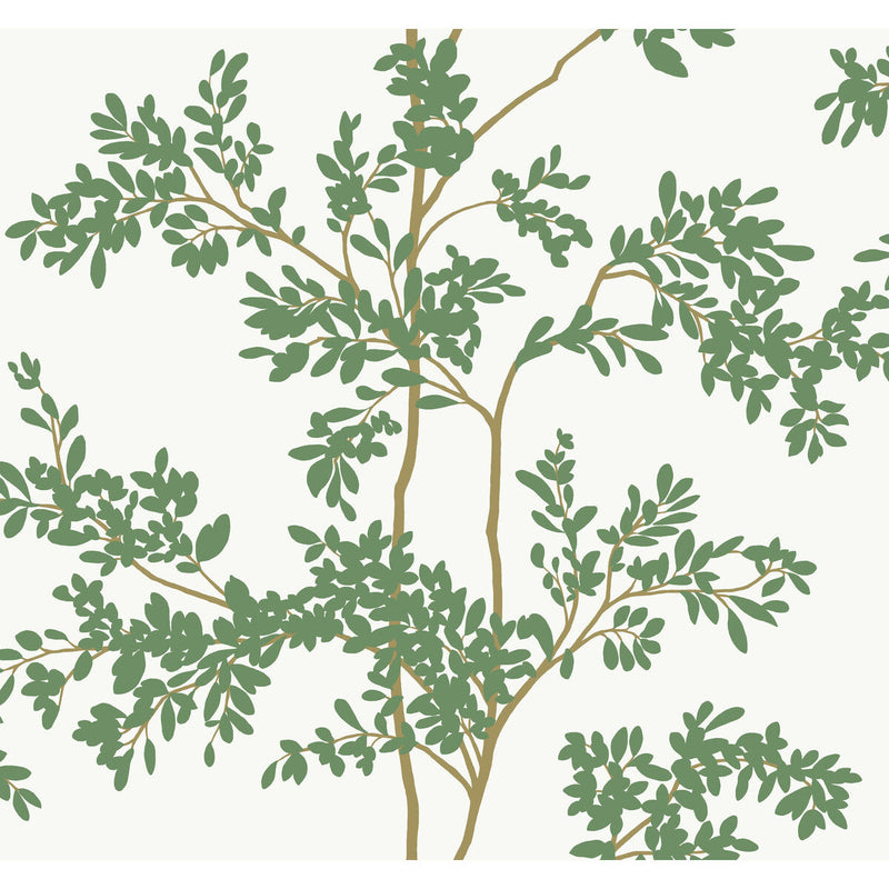 KRAVET DESIGN - KRAVET DESIGN- W4141-3 - Wallcovering by the Roll W4141-3