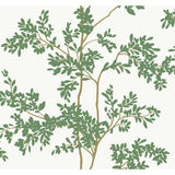 KRAVET DESIGN - KRAVET DESIGN- W4141-3 - Wallcovering by the Roll