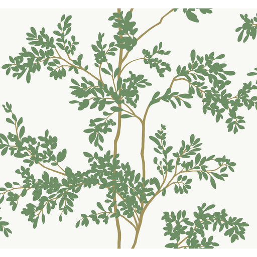 KRAVET DESIGN - W4141 - Wallpaper By the Roll