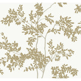 KRAVET DESIGN - KRAVET DESIGN- W4141-4 - Wallcovering by the Roll