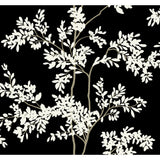KRAVET DESIGN - KRAVET DESIGN- W4141-81 - Wallcovering by the Roll