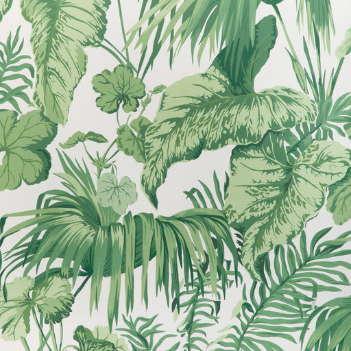KRAVET COUTURE - YASUNI WP- VERDE - Wallcovering by the Roll VERDE