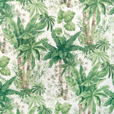 KRAVET COUTURE - JUNGLEWOOD WP- VERDE - Wallcovering by the Roll