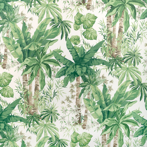 KRAVET COUTURE - JUNGLEWOOD WP- VERDE - Wallcovering by the Roll VERDE