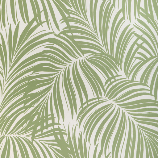 KRAVET COUTURE - PALM LEAF WP- VERDE - Wallcovering by the Roll VERDE