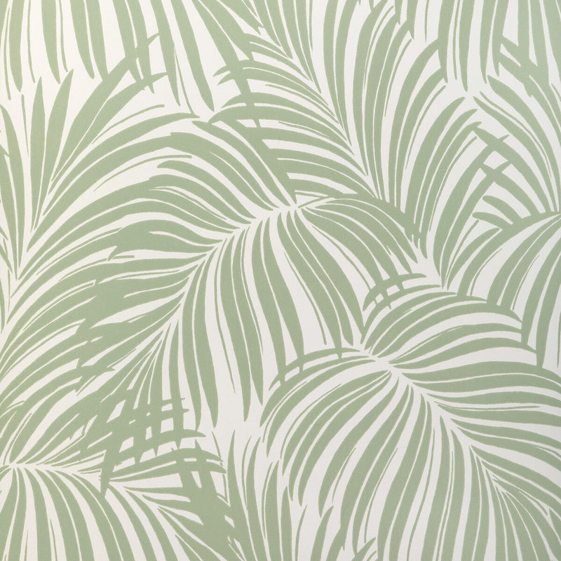 KRAVET COUTURE - PALM LEAF WP- LIGHT GREEN - Wallcovering by the Roll LIGHT GREEN