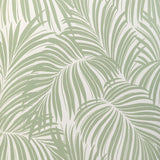 KRAVET COUTURE - PALM LEAF WP- LIGHT GREEN - Wallcovering by the Roll