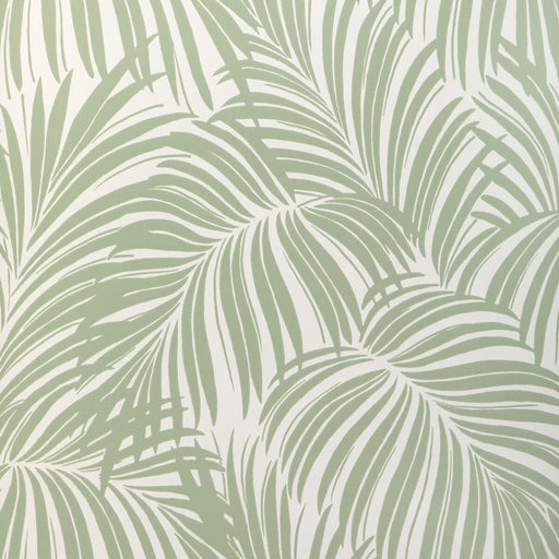 KRAVET COUTURE - PALM LEAF WP- LIGHT GREEN - Wallcovering by the Roll LIGHT GREEN