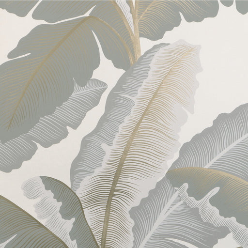 KRAVET COUTURE - ISLA ROYAL WP- MIST - Wallcovering by the Roll MIST