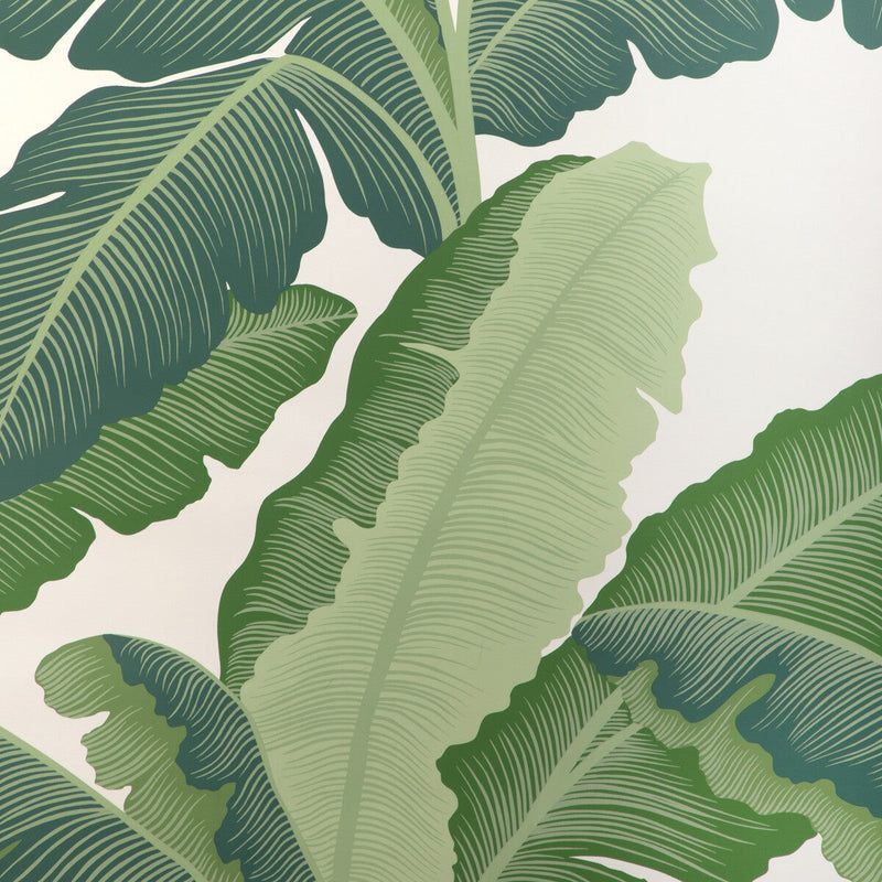 KRAVET COUTURE - ISLA ROYAL WP- VERDE - Wallcovering by the Roll VERDE