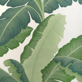 KRAVET COUTURE - ISLA ROYAL WP- VERDE - Wallcovering by the Roll