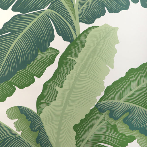 KRAVET COUTURE - ISLA ROYAL WP- VERDE - Wallcovering by the Roll VERDE