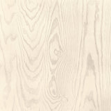 KRAVET DESIGN - KRAVET DESIGN- W4168-11 - Wallcovering by the Roll