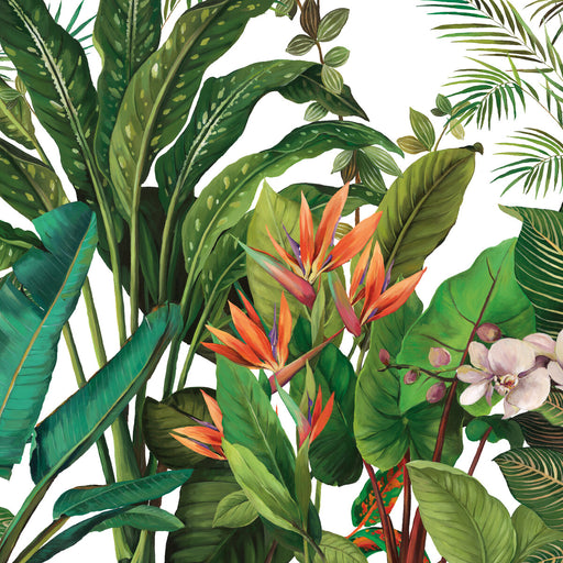 KRAVET DESIGN - W4180 - Wallpaper By the Piece