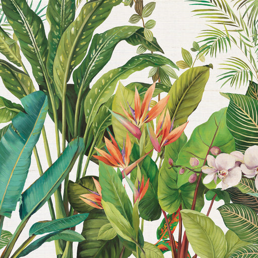 KRAVET DESIGN - W4181 - Wallpaper By the Piece