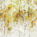 KRAVET DESIGN - KRAVET DESIGN- W4182-416 - Wallcovering by the Piece