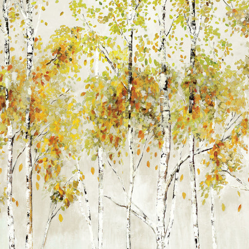 KRAVET DESIGN - KRAVET DESIGN- W4182-416 - Wallcovering by the EACH W4182-416