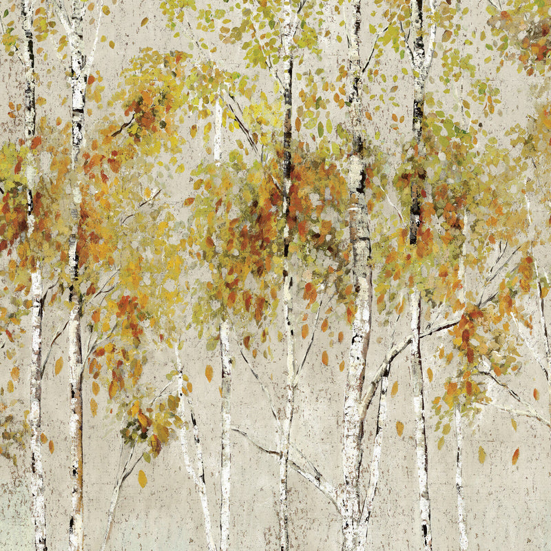 KRAVET DESIGN - KRAVET DESIGN- W4183-614 - Wallcovering by the EACH W4183-614
