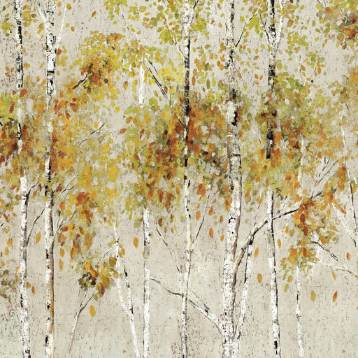 KRAVET DESIGN - KRAVET DESIGN- W4183-614 - Wallcovering by the EACH W4183-614