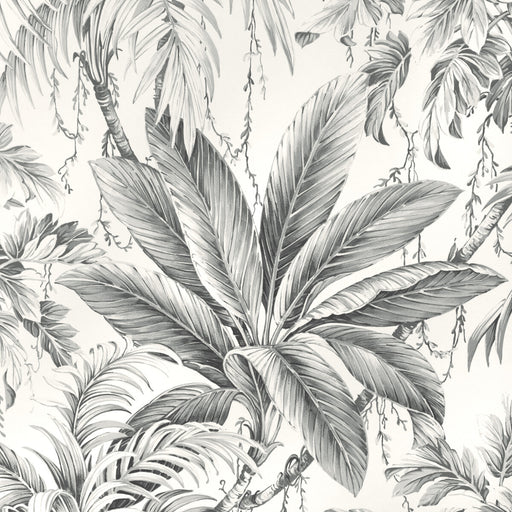 KRAVET DESIGN - W4190 - Wallpaper By the Roll