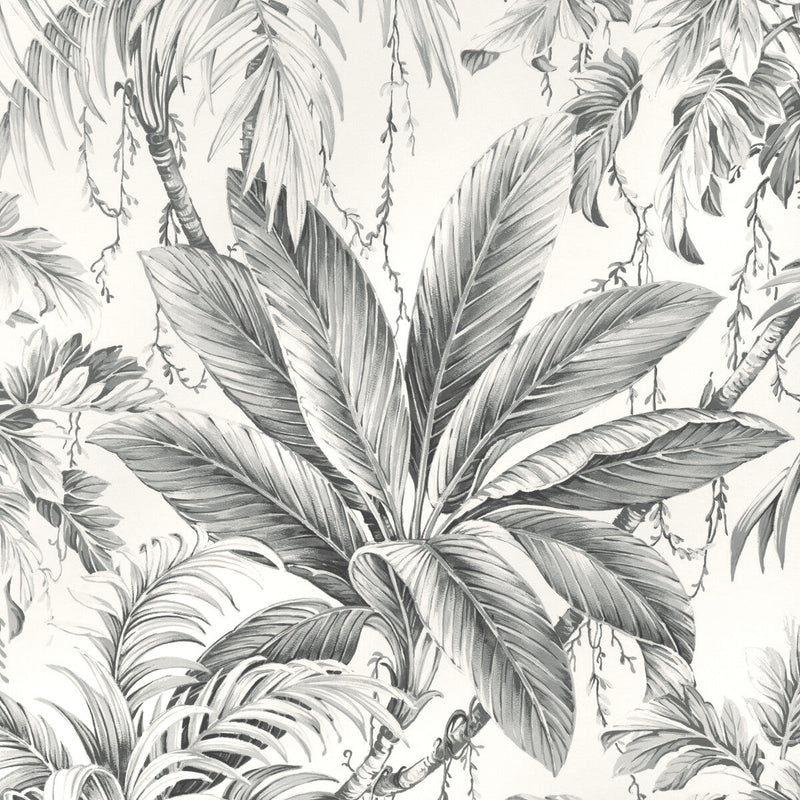 KRAVET DESIGN - KRAVET DESIGN- W4190-11 - Wallcovering by the Roll W4190-11
