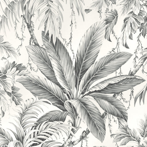 KRAVET DESIGN - KRAVET DESIGN- W4190-11 - Wallcovering by the Roll W4190-11