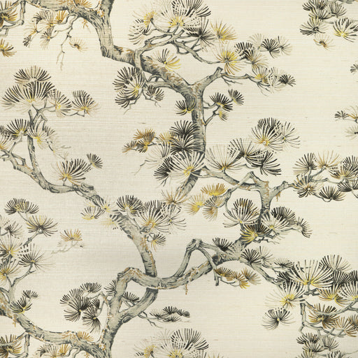 KRAVET DESIGN - KRAVET DESIGN- W4191-411 - Wallcovering by the Roll W4191-411