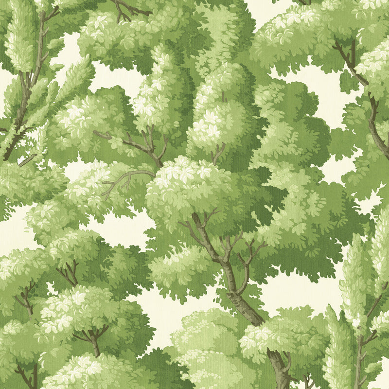 KRAVET DESIGN - KRAVET DESIGN- W4193-340 - Wallcovering by the EACH W4193-340