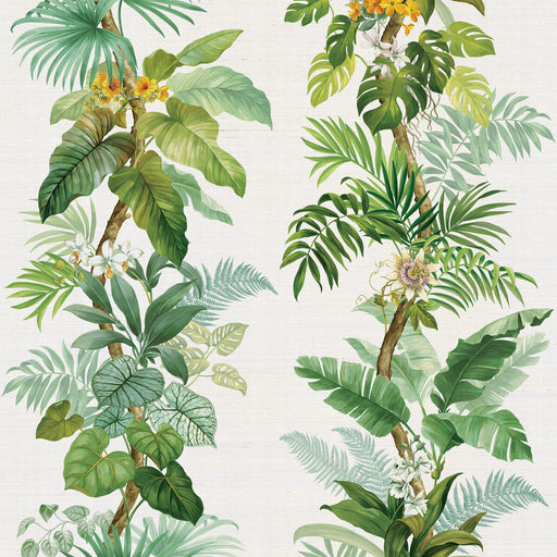 KRAVET DESIGN - KRAVET DESIGN- W4195-3 - Wallcovering by the EACH W4195-3