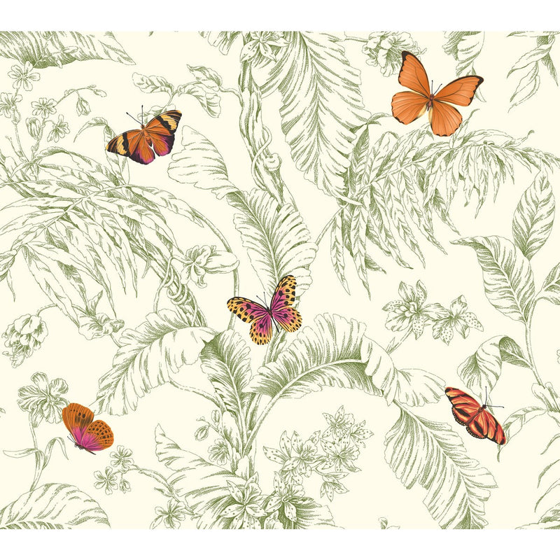 KRAVET DESIGN - KRAVET DESIGN- W4234-312 - Wallcovering by the Roll W4234-312