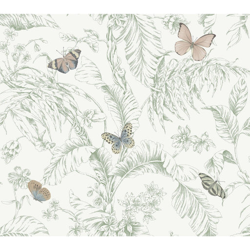 KRAVET DESIGN - KRAVET DESIGN- W4234-73 - Wallcovering by the Roll W4234-73