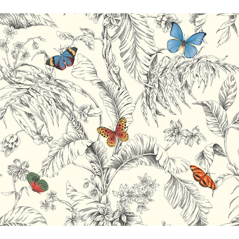 KRAVET DESIGN - KRAVET DESIGN- W4234-814 - Wallcovering by the Roll W4234-814