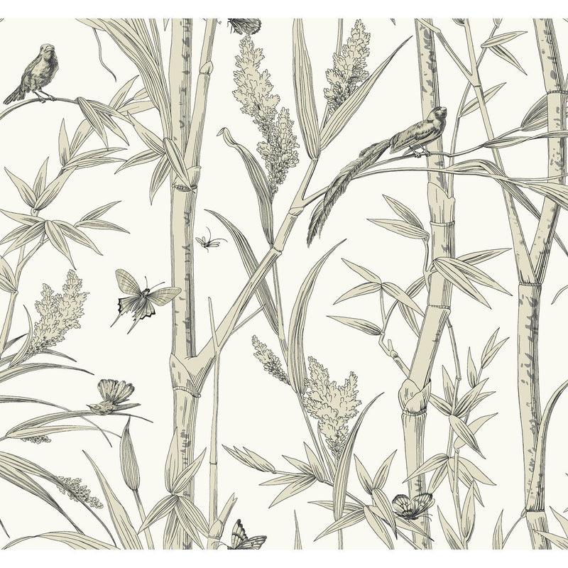 KRAVET DESIGN - KRAVET DESIGN- W4238-106 - Wallcovering by the Roll W4238-106