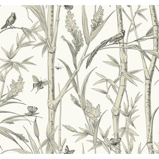 KRAVET DESIGN - KRAVET DESIGN- W4238-106 - Wallcovering by the Roll W4238-106