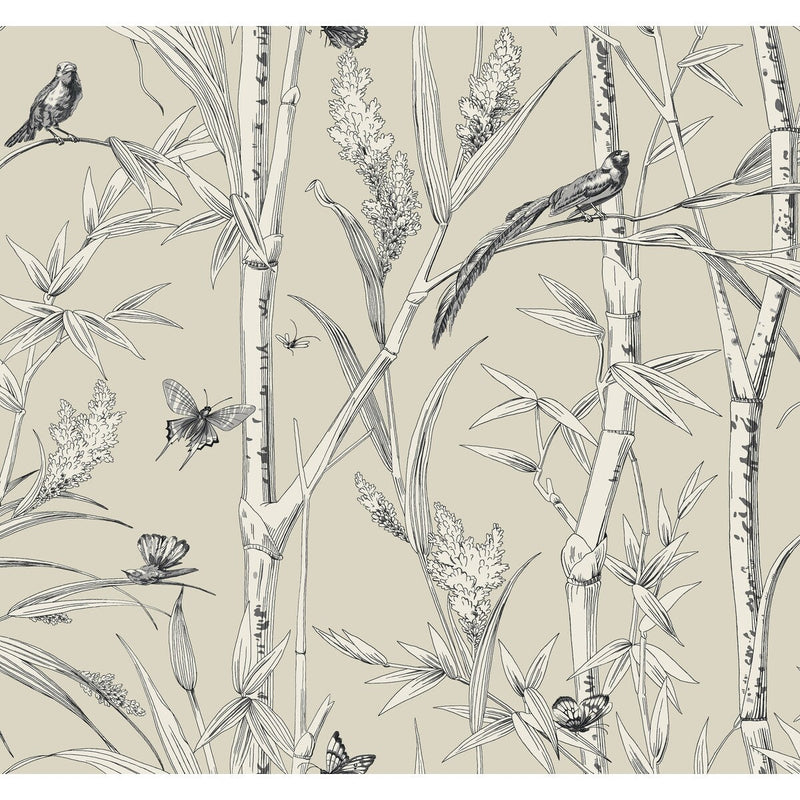 KRAVET DESIGN - KRAVET DESIGN- W4238-16 - Wallcovering by the Roll W4238-16
