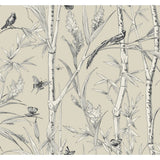 KRAVET DESIGN - KRAVET DESIGN- W4238-16 - Wallcovering by the Roll