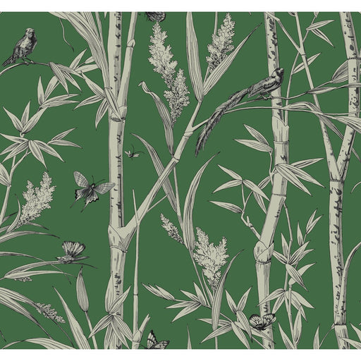 KRAVET DESIGN - KRAVET DESIGN- W4238-31 - Wallcovering by the Roll W4238-31
